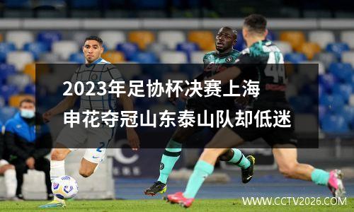 2023年足协杯决赛上海申花夺冠山东泰山队却低迷