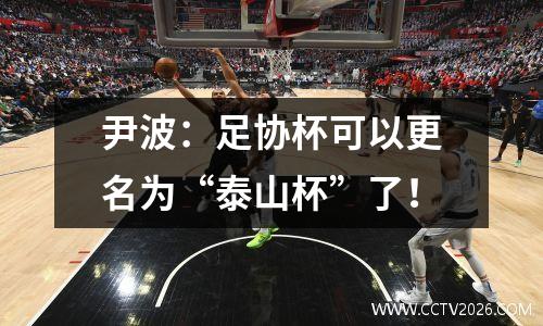 尹波：足协杯可以更名为“泰山杯”了！