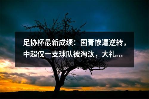 足协杯最新成绩：国青惨遭逆转，中超仅一支球队被淘汰，大礼包放出