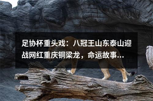 足协杯重头戏：八冠王山东泰山迎战网红重庆铜梁龙，命运故事多多