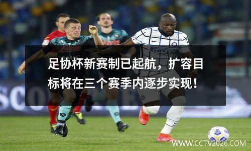 足协杯新赛制已起航，扩容目标将在三个赛季内逐步实现！