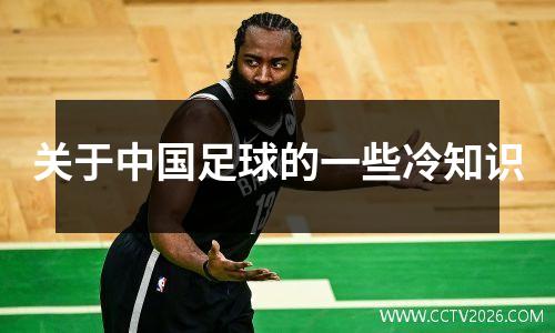 关于中国足球的一些冷知识