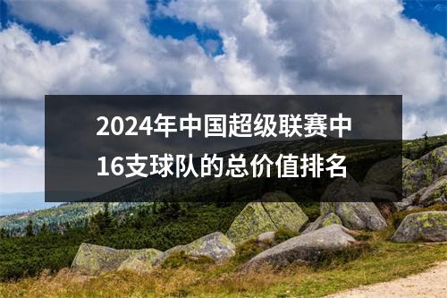 2024年中国超级联赛中16支球队的总价值排名