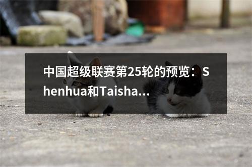 中国超级联赛第25轮的预览：Shenhua和Taishan可能会感到沮丧，而成都和Haigang的主场优势很明显