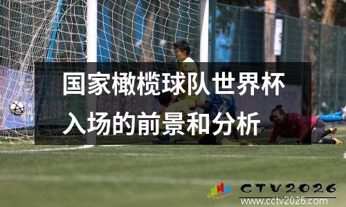 国家橄榄球队世界杯入场的前景和分析