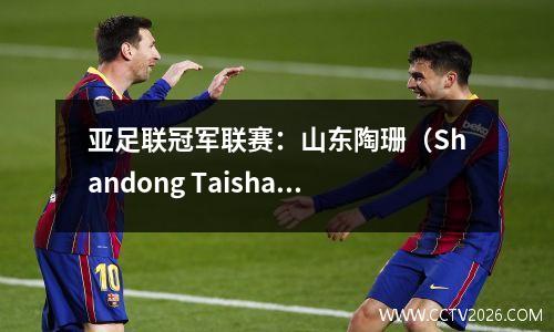 亚足联冠军联赛：山东陶珊（Shandong Taishan）团队并列横滨水手22！郑郑拯救了主！港口塔尚队获得4分