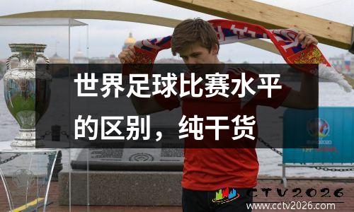 世界足球比赛水平的区别，纯干货