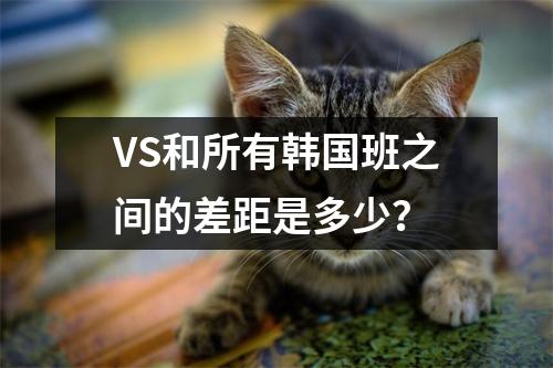 VS和所有韩国班之间的差距是多少？