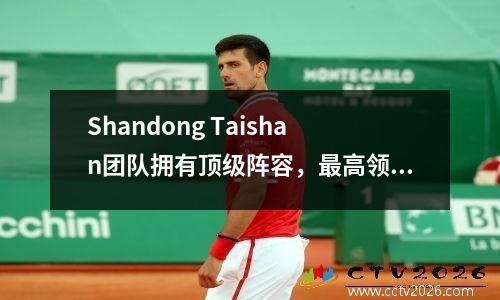 Shandong Taishan团队拥有顶级阵容，最高领域，后场是中场，后场最差！
