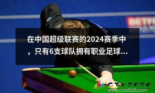 在中国超级联赛的2024赛季中，只有6支球队拥有职业足球场！