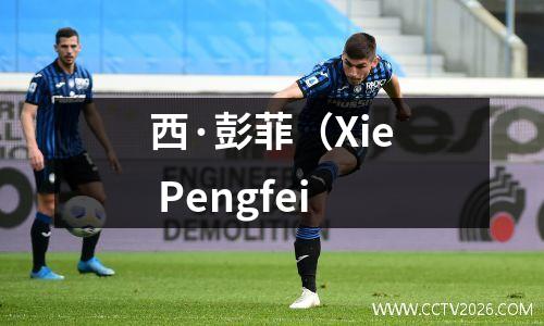 西·彭菲（Xie Pengfei