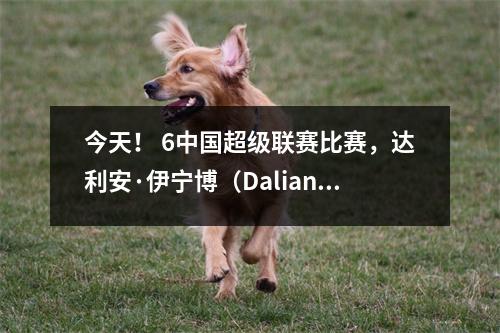 今天！ 6中国超级联赛比赛，达利安·伊宁博（Dalian Yingbo）PK Manatee CCTV16 Live Broadcast Shandong Taishan vs Chengdu Ron