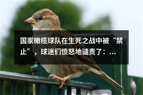 国家橄榄球队在生死之战中被“禁止”，球迷们愤怒地谴责了：谁切断了见证历史的时刻？