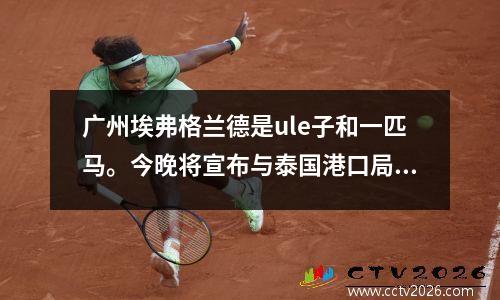 广州埃弗格兰德是ule子和一匹马。今晚将宣布与泰国港口局的亚足联冠军联赛比赛