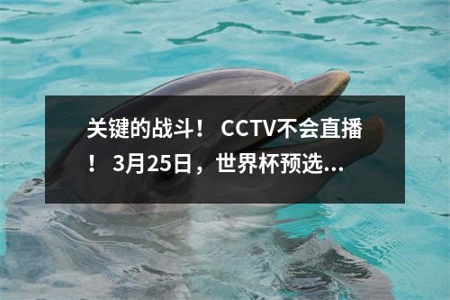 关键的战斗！ CCTV不会直播！ 3月25日，世界杯预选赛与澳大利亚