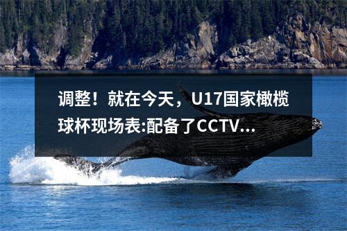 调整！就在今天，U17国家橄榄球杯现场表:配备了CCTV5，CCTV5+最新程序列表