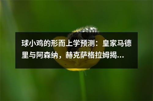 球小鸡的形而上学预测：皇家马德里与阿森纳，赫克萨格拉姆揭示了冠军联赛的生与死！
