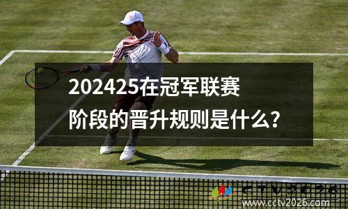 202425在冠军联赛阶段的晋升规则是什么？