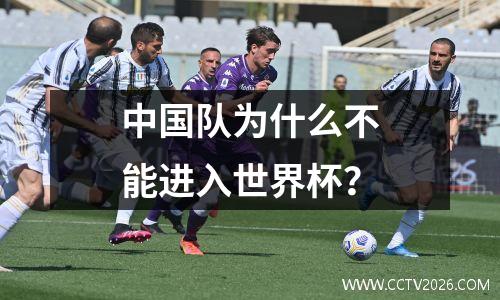 中国队为什么不能进入世界杯？