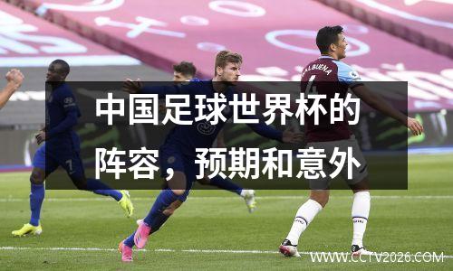 中国足球世界杯的阵容，预期和意外