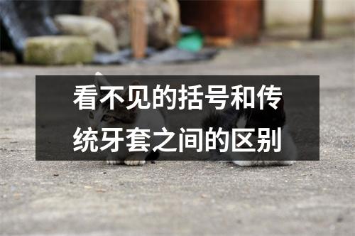 看不见的括号和传统牙套之间的区别