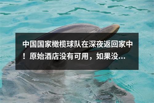 中国国家橄榄球队在深夜返回家中！原始酒店没有可用，如果没有球迷可以接它，那就太荒芜了。