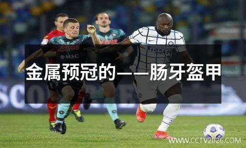 金属预冠的——肠牙盔甲