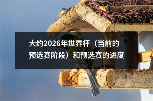大约2026年世界杯（当前的预选赛阶段）和预选赛的进度