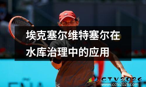 埃克塞尔维特塞尔在水库治理中的应用