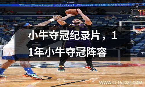 小牛夺冠纪录片，11年小牛夺冠阵容
