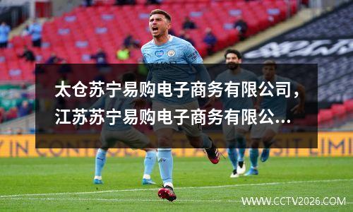 太仓苏宁易购电子商务有限公司，江苏苏宁易购电子商务有限公司 企查查