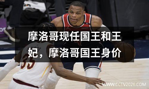 摩洛哥现任国王和王妃，摩洛哥国王身价