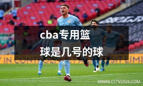 cba专用篮球是几号的球