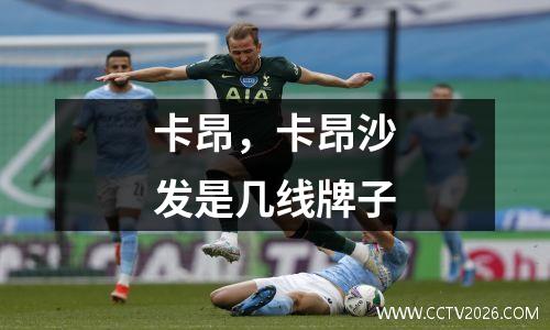 卡昂，卡昂沙发是几线牌子