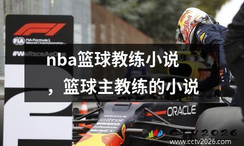 nba篮球教练小说，篮球主教练的小说