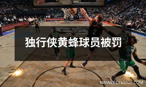 独行侠黄蜂球员被罚