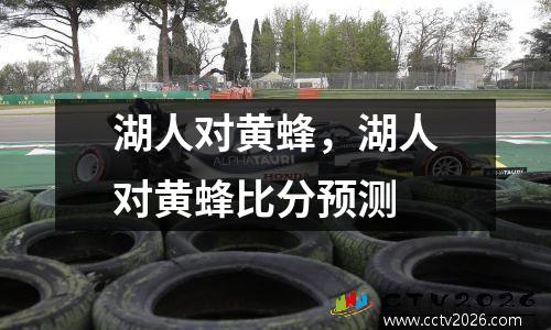 湖人对黄蜂，湖人对黄蜂比分预测