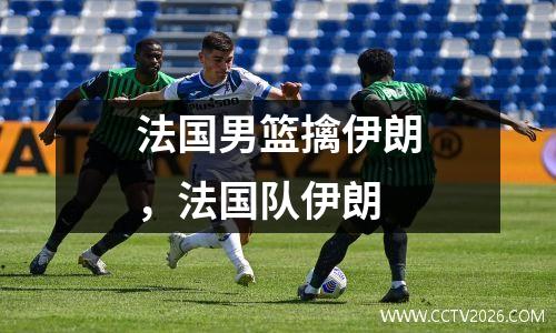 法国男篮擒伊朗，法国队伊朗