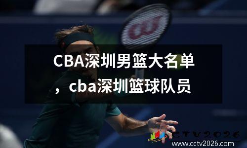 CBA深圳男篮大名单，cba深圳篮球队员