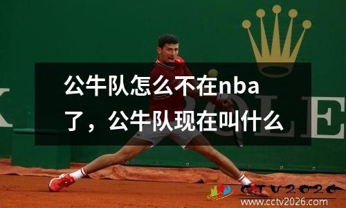 公牛队怎么不在nba了，公牛队现在叫什么