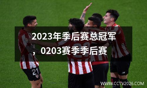 2023年季后赛总冠军，0203赛季季后赛