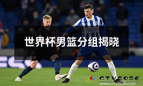 世界杯男篮分组揭晓