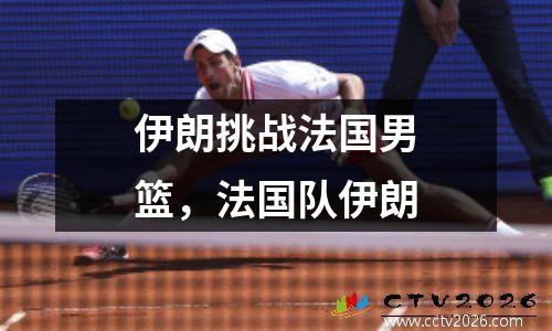 伊朗挑战法国男篮，法国队伊朗