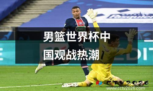 男篮世界杯中国观战热潮