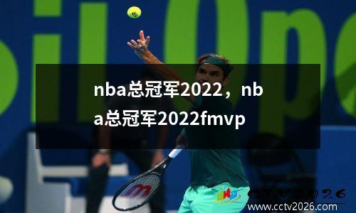 nba总冠军2022，nba总冠军2022fmvp