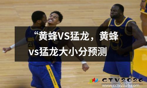 “黄蜂VS猛龙，黄蜂vs猛龙大小分预测