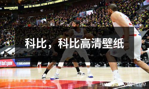 科比，科比高清壁纸