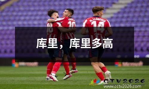 库里，库里多高