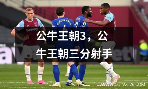 公牛王朝3，公牛王朝三分射手