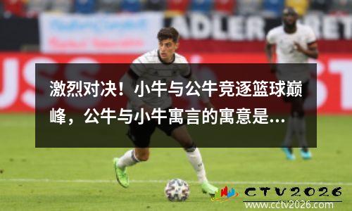 激烈对决！小牛与公牛竞逐篮球巅峰，公牛与小牛寓言的寓意是什么